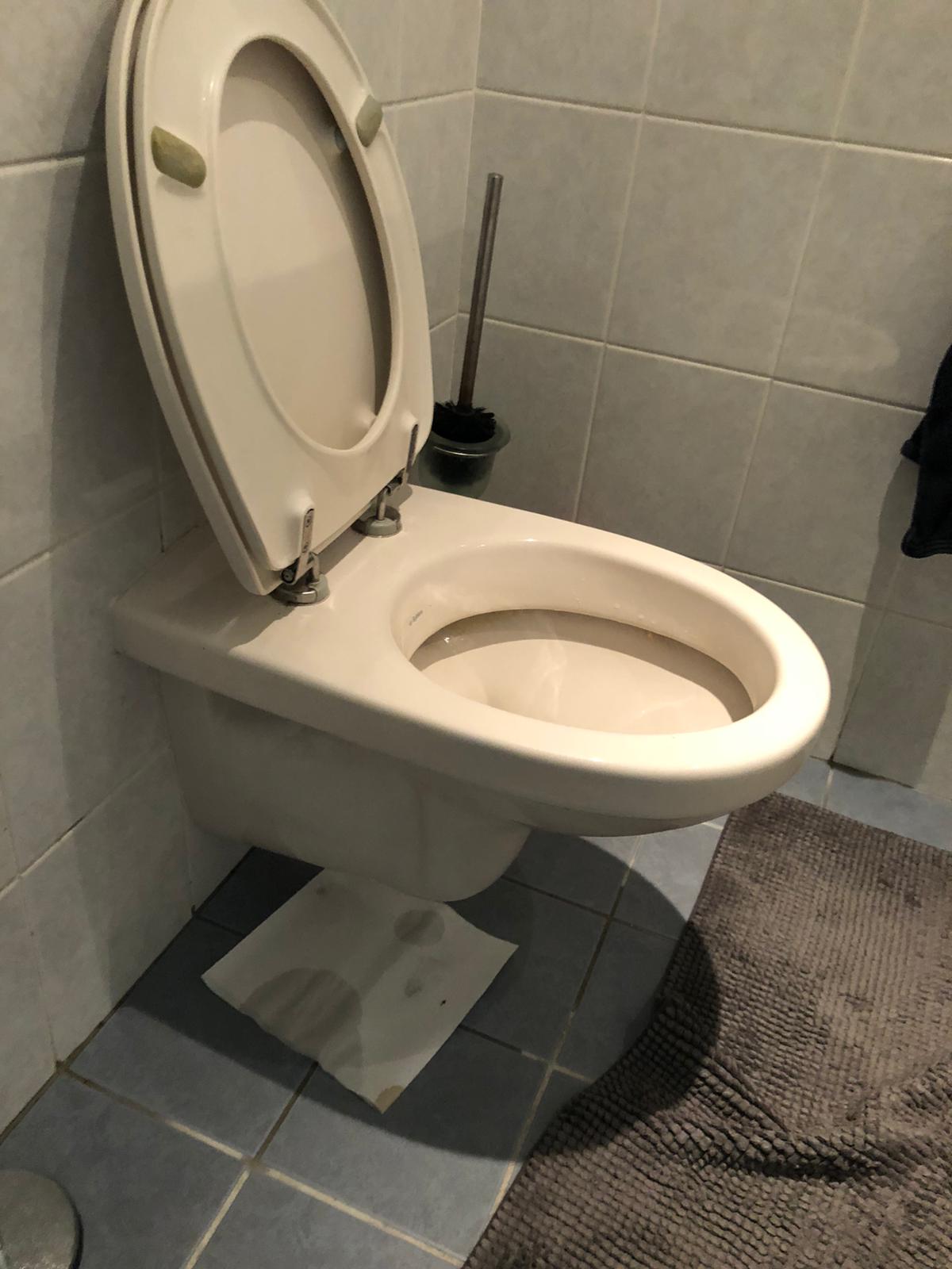 hangtoilet Julianadorp
